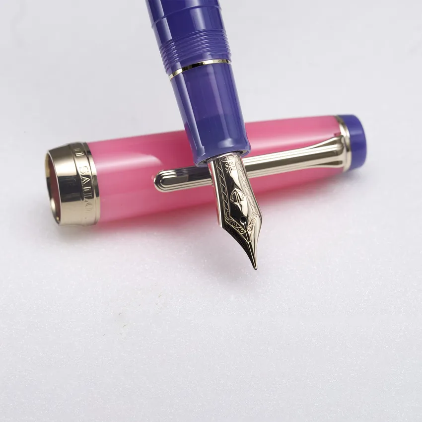 Sailor Professional Gear 'The Pillow Book' Fountain Pen (21K Medium) - Spring Sky With Rodhium Trims